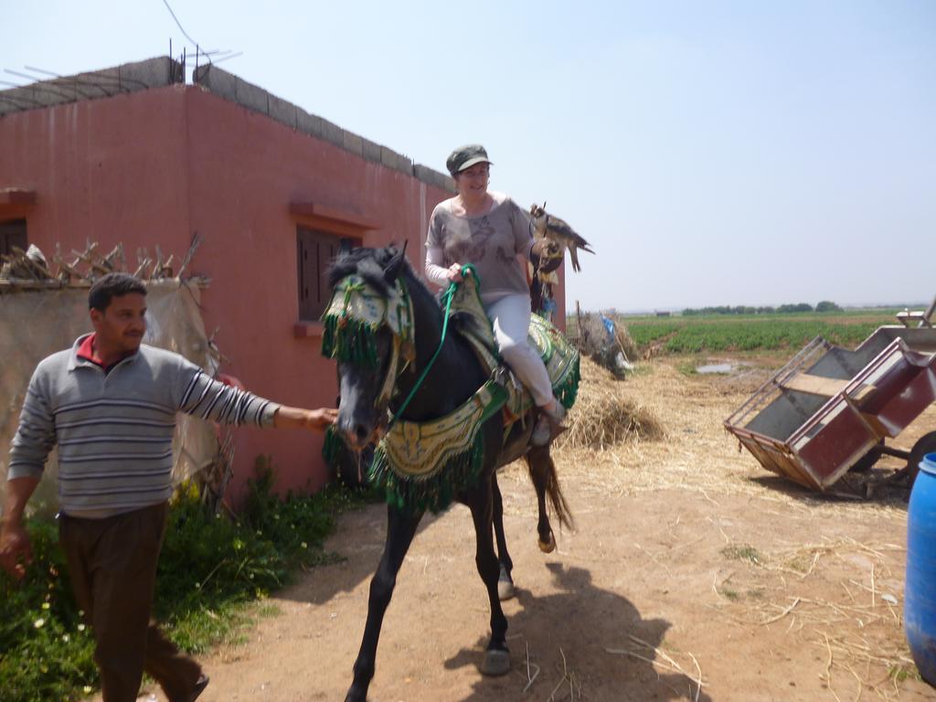 Riad Ksar El Jadida Maroc Eksteriør bilde