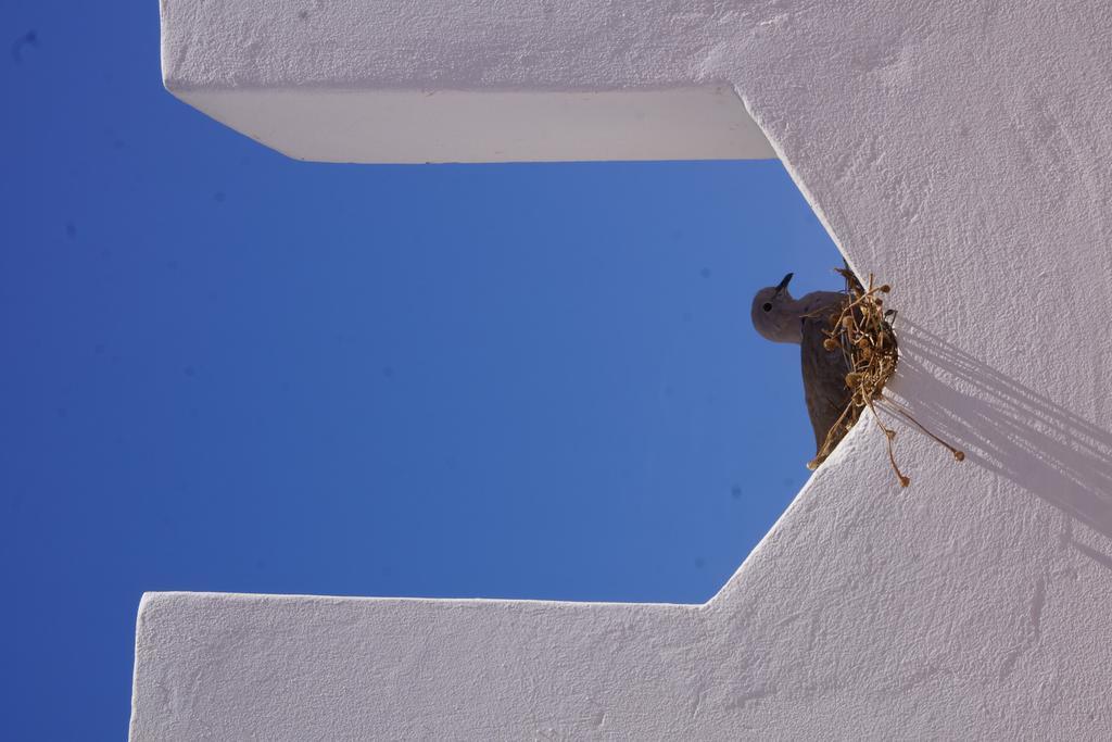 Riad Ksar El Jadida Maroc Eksteriør bilde